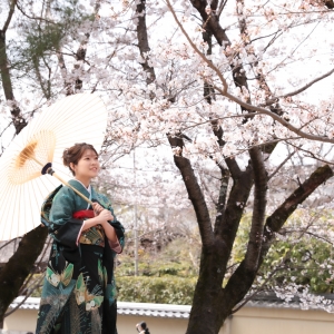 写真：京都東山・八坂庚申堂や高台寺公園の桜が八分咲きです