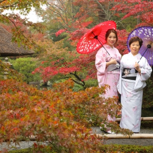 写真:【京都観光情報】11月18日〜12月3日 清水寺成就院庭園「月の庭」特別公開