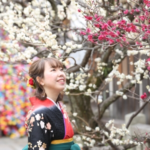 写真:京都東山・八坂庚申堂に梅が咲き始めました