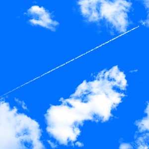 写真：【営業情報】2020年4月1日～5月31日 営業自粛のお知らせ