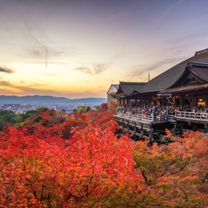 写真:【京都観光情報】11月11日〜12月3日 清水寺 夜間特別拝観&ライトアップ