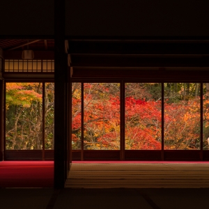 写真:【京都観光情報】11月15日~30日 南禅寺天授庵ライトアップ