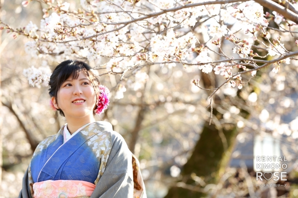 写真：桜咲く京都・八坂の塔や高台寺で成人式振袖持ち込みロケ撮影