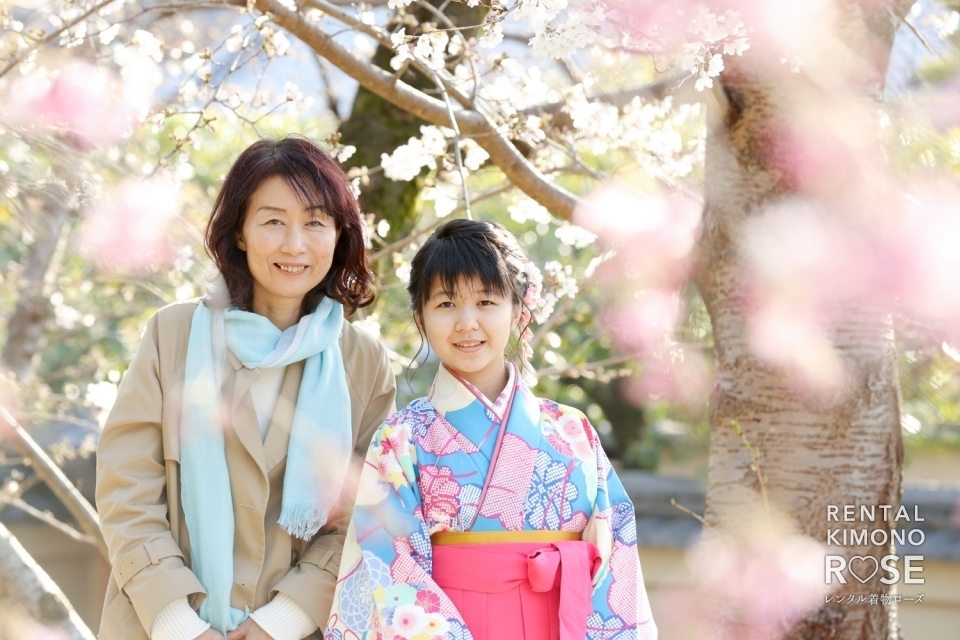 写真:京都・桜咲く高台寺で小学校卒業式当日の卒業袴レンタルの方を撮影