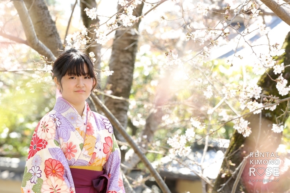 写真:京都・桜咲く高台寺で卒業式当日の卒業袴レンタルの方を撮影