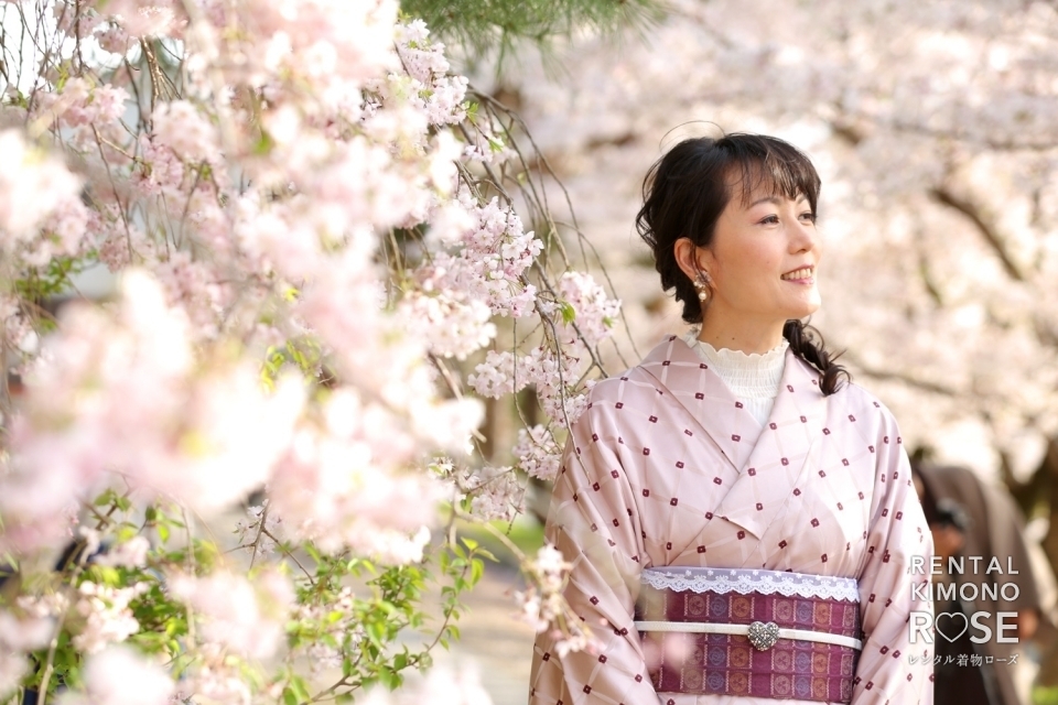 写真:桜咲く京都・高台寺公園で浪漫プラン+観光ロケーション撮影
