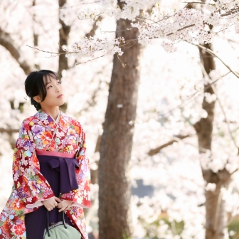 写真：桜満開の京都・高台寺で卒業袴レンタルロケーション撮影