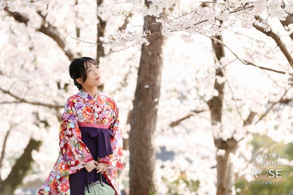 写真：桜満開の京都・高台寺で卒業袴レンタルロケーション撮影