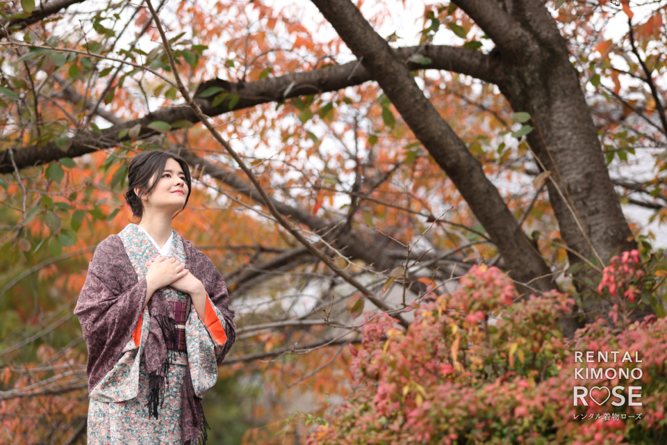写真:紅葉が見頃を迎えた京都でのロケーション撮影